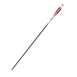 31 Inch Turkey Feather Mixed Carbon Arrows X 10 -Sports Gear Store htb1mpx4swhqk1rjszfkq6xwfxa00012